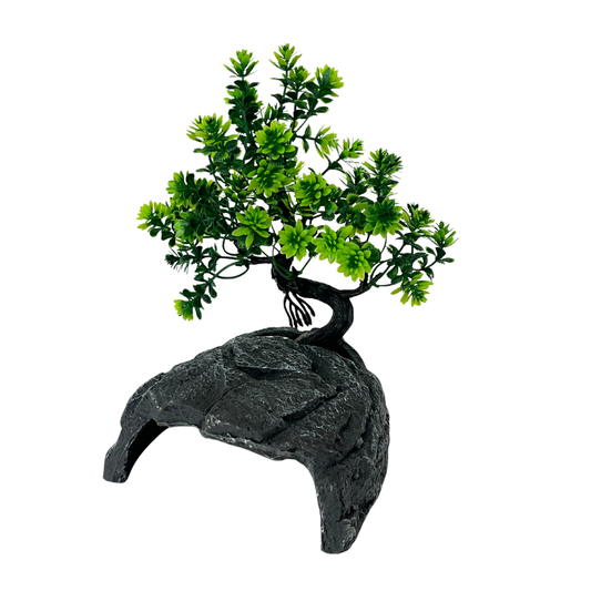 Natural Reptile Hideout Cave with Planting Zone