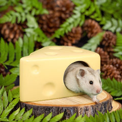 Cheese Ceramic Hideout