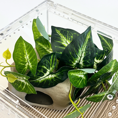 Artificial Climbing Plant