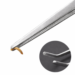 Stainless Steel Straight Feeding Tweezers