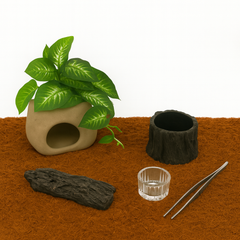 WildPalz Natural Reptile Starter Kit – Essential & Pro Editions