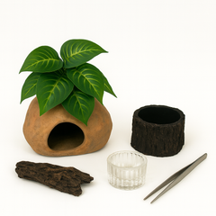 WildPalz Natural Reptile Starter Kit – Essential & Pro Editions