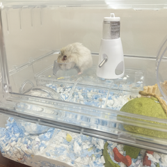 WildPalz Hamster Starter Kit