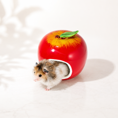Ceramic Apple Hamster Hideout
