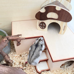 WildPalz Toast Loft - Multi-Chamber Hideout