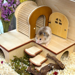 WildPalz Toast Loft - Multi-Chamber Hideout