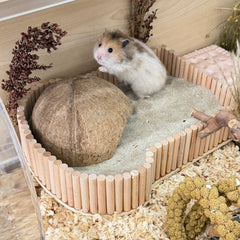Wooden Hamster Sand Bath – DIY Kit or Finished Design