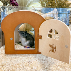 Toast Hideout Duo – Magnetic Peekaboo & Multi-Chamber Bundle
