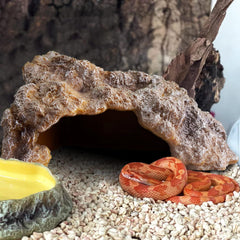 Reptile Rock Hideout