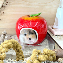 Ceramic Apple Hamster Hideout