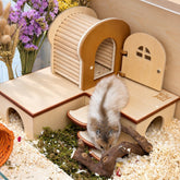 Toast Hideout Duo – Magnetic Peekaboo & Multi-Chamber Bundle