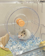 Silent Wavy Track Hamster Wheel