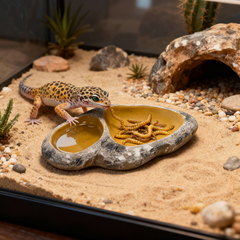 Resin Dual Feeding & Water Dish