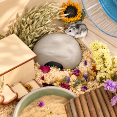 Stone Nest Ceramic Hamster Hideout