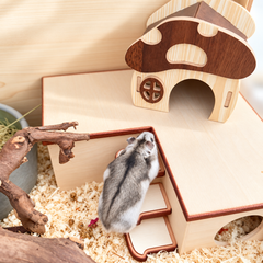 WildPalz Toast Loft - Multi-Chamber Hideout