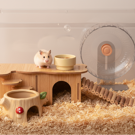 How to Set Up Your First Hamster Habitat in 5 Easy Steps