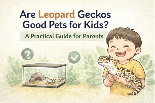 Are Leopard Geckos Good Pets for Kids?