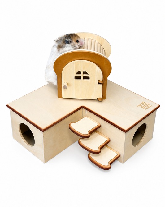 How to Care for a Wooden Hamster Hideout