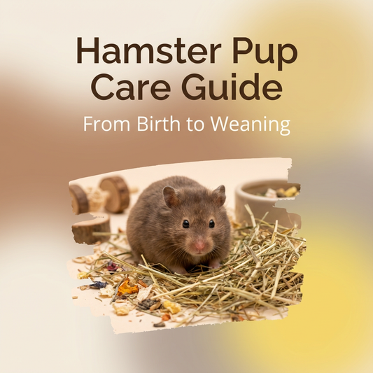 Hamster Pup Care Guide: From Birth to Weaning