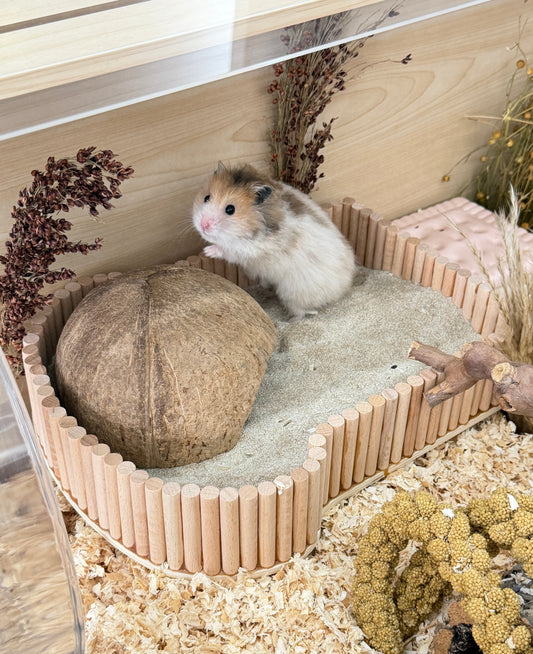 Hamster Sand Bath DIY Guide: Step-by-Step Tutorial