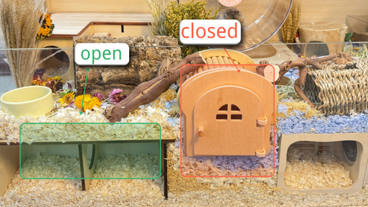 Open vs Closed Hamster Hideouts: Which Hamster Hideout Is Best for Your Pet?