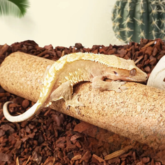 Natural Cork Bark Climbing Log for Reptiles