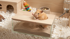 Rectangular Acrylic Sand Bath for Hamsters & Small Animals