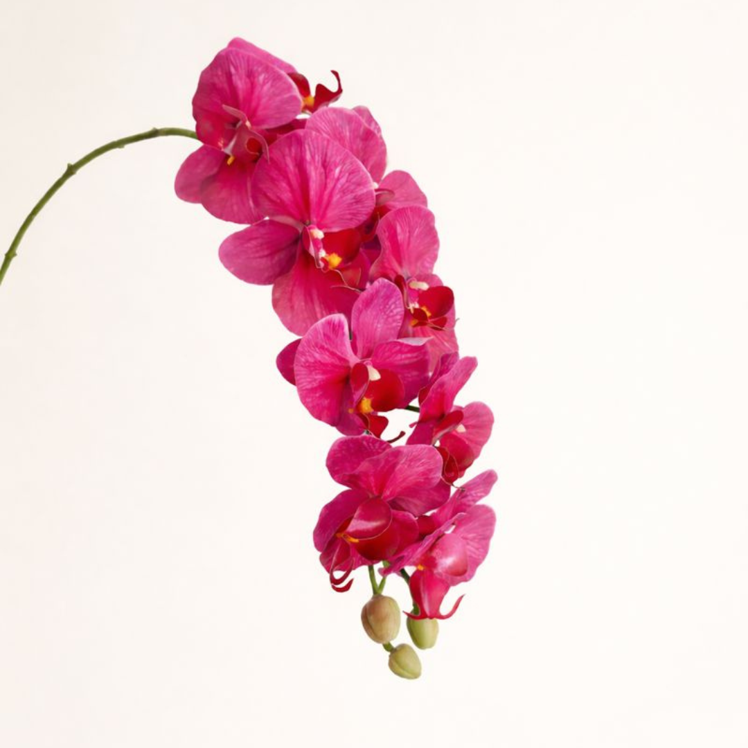 Artificial Phalaenopsis Orchid Vine for Climbing & Cascading Terrariums