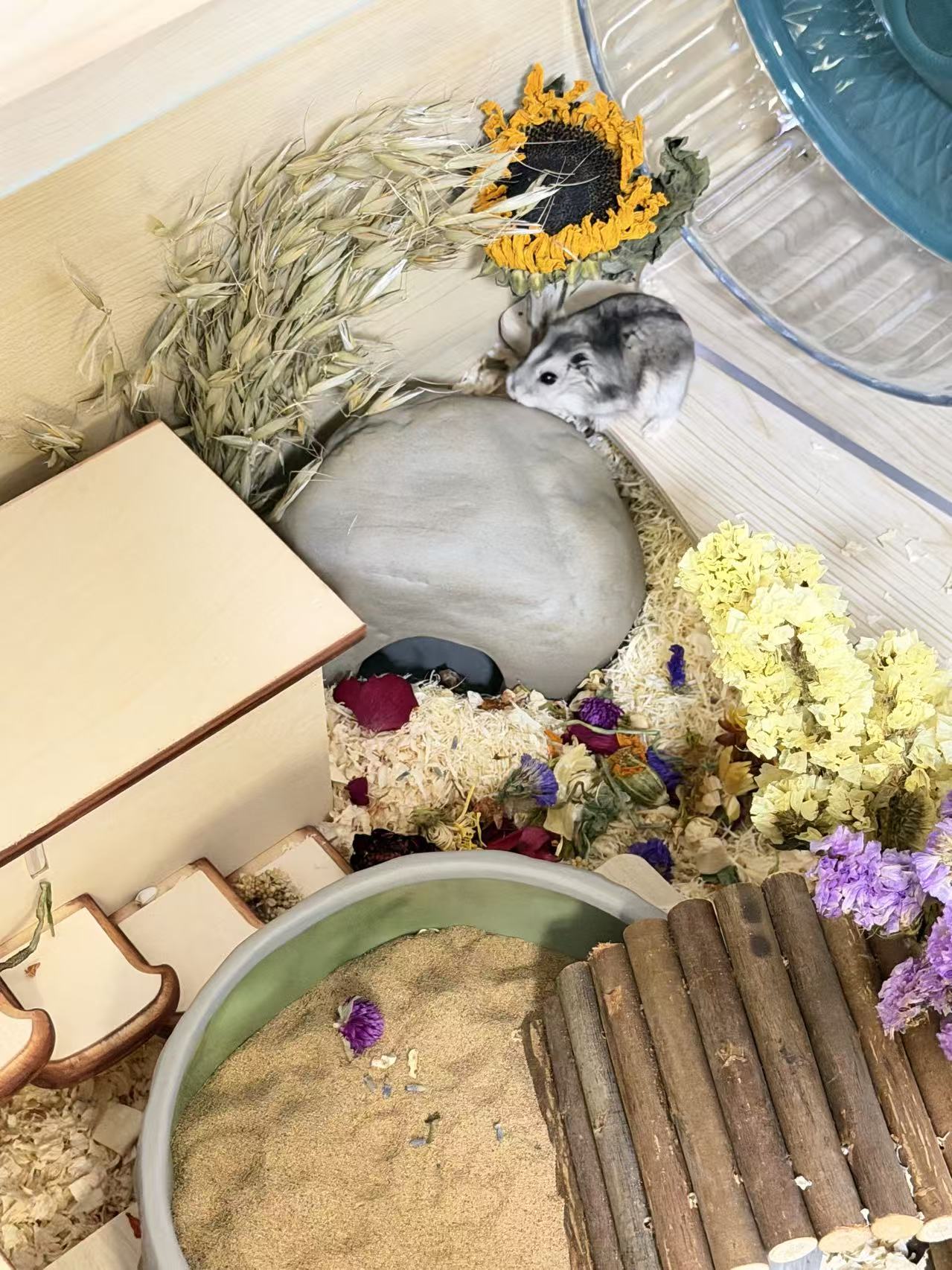 Stone Nest Ceramic Hamster Hideout