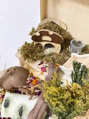 Wooden Mushroom Hideout for Hamsters