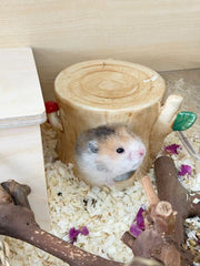 Ceramic Tree Stump Hideout