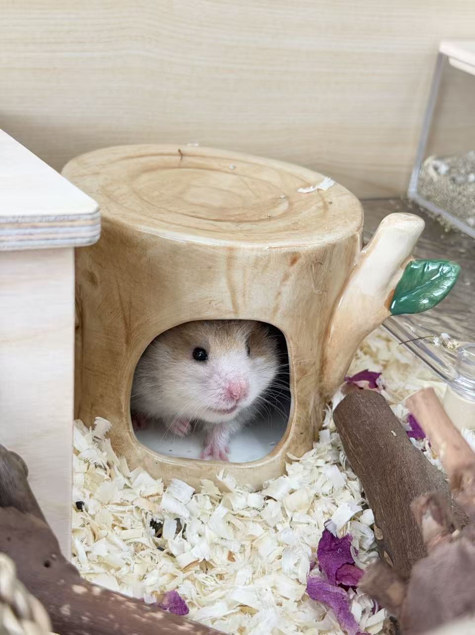 Ceramic Tree Stump Hideout