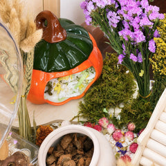 Pumpkin Ceramic Hideout