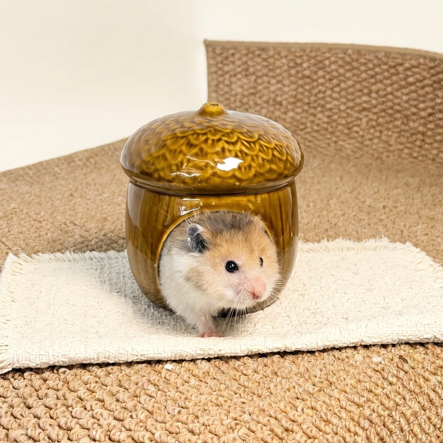 Pinecone Ceramic Hamster Hideout