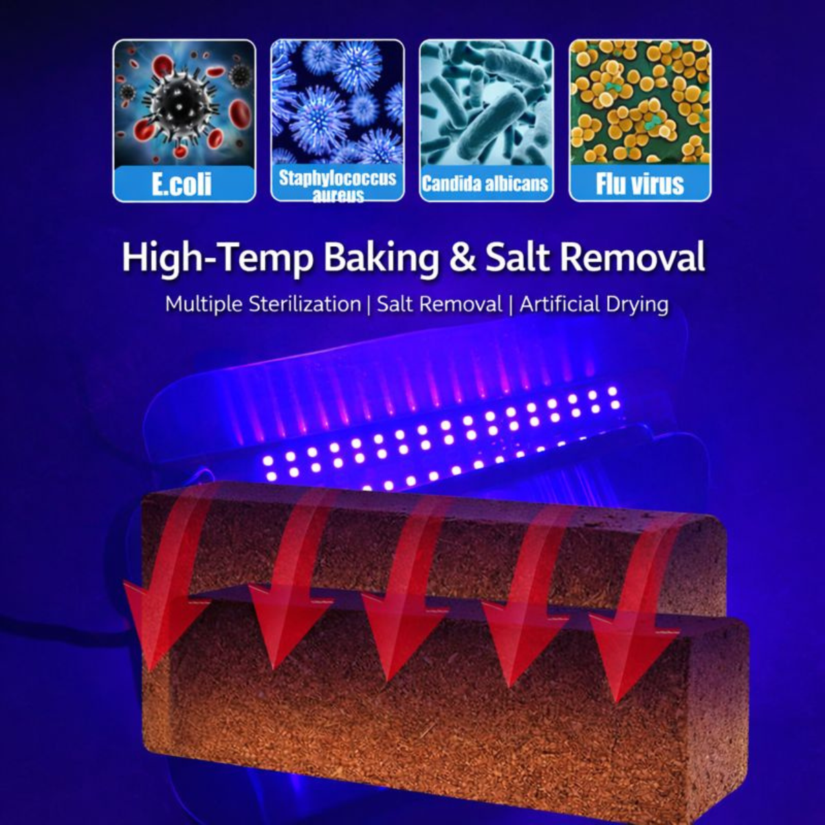 Natural Coconut Substrate for Reptile & Amphibian Habitats