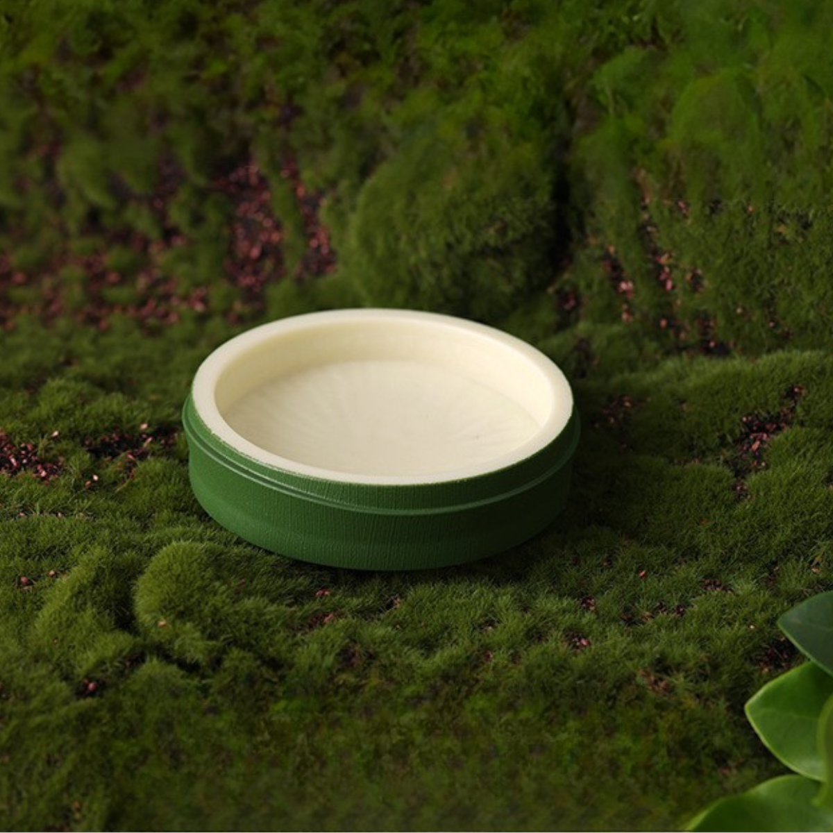 Bamboo-Inspired Resin Feeding Dish