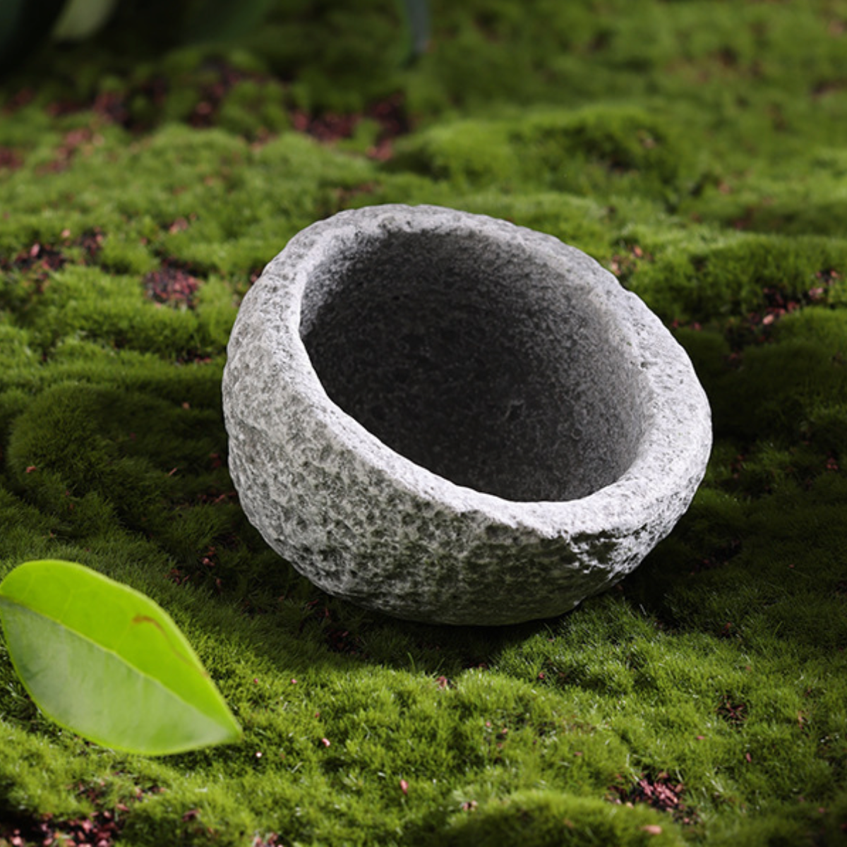 Natural Rock-Style Hideout Bowl