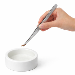 Stainless Steel Straight Feeding Tweezers