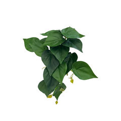 Artificial Climbing Plant