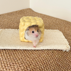 Cheese Cube Ceramic Hideout