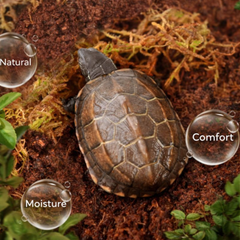 Natural Coconut Substrate for Reptile & Amphibian Habitats