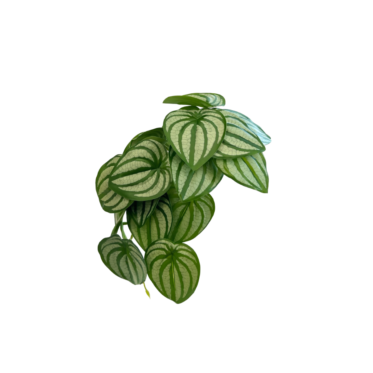 Artificial Climbing Plant