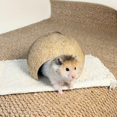 Natural Coconut  Hideout