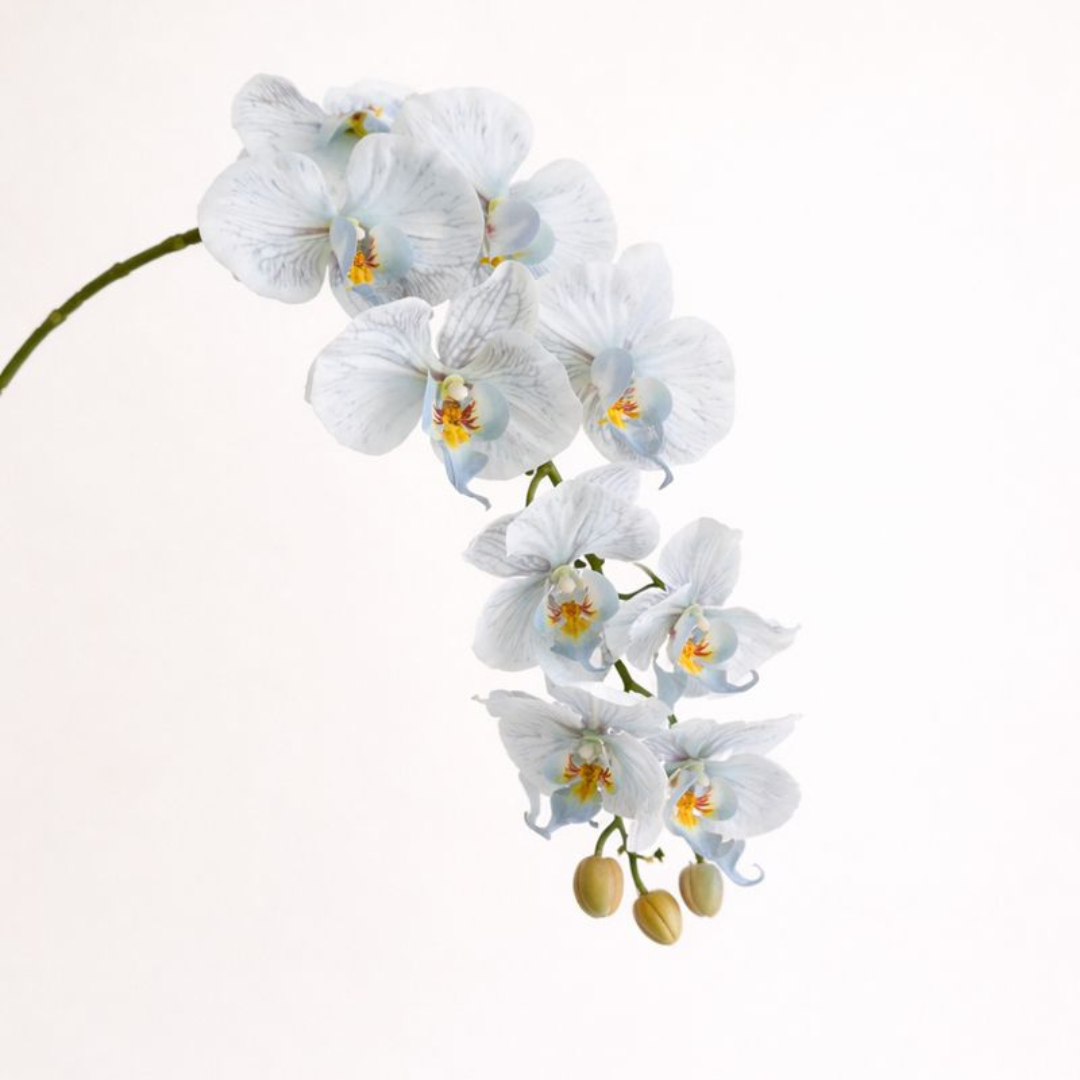 Artificial Phalaenopsis Orchid Vine for Climbing & Cascading Terrariums