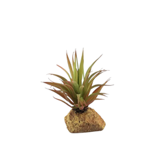 Artificial Snake Plant with Base