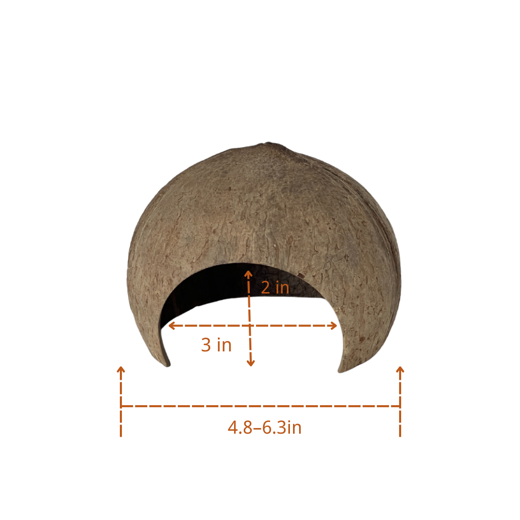 Natural Coconut Reptile Hideout