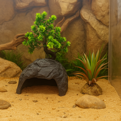 Natural Reptile Hideout Cave with Planting Zone