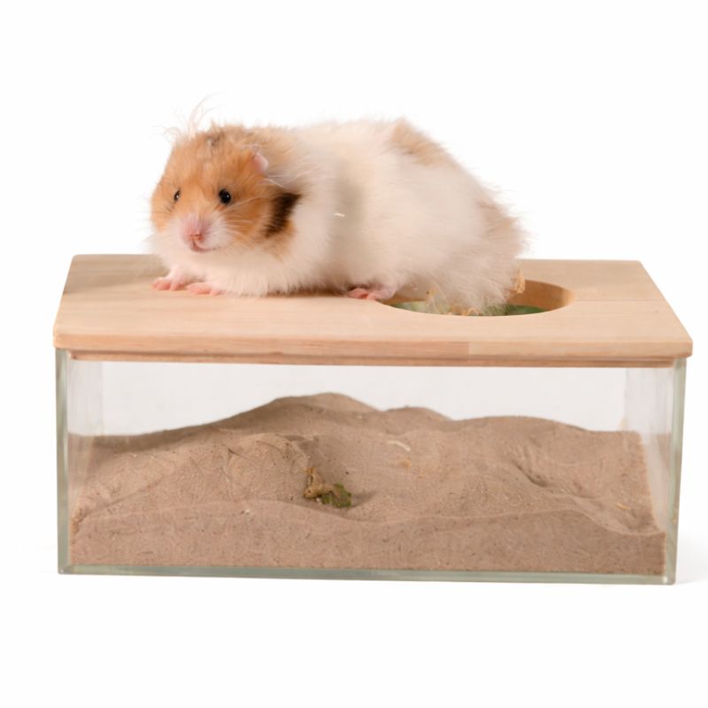 Rectangular Acrylic Sand Bath for Hamsters & Small Animals