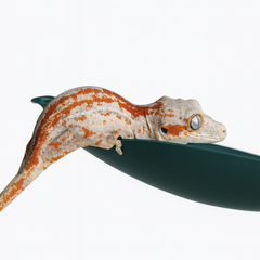 Reptile Terrarium Floating Leaf Hideout