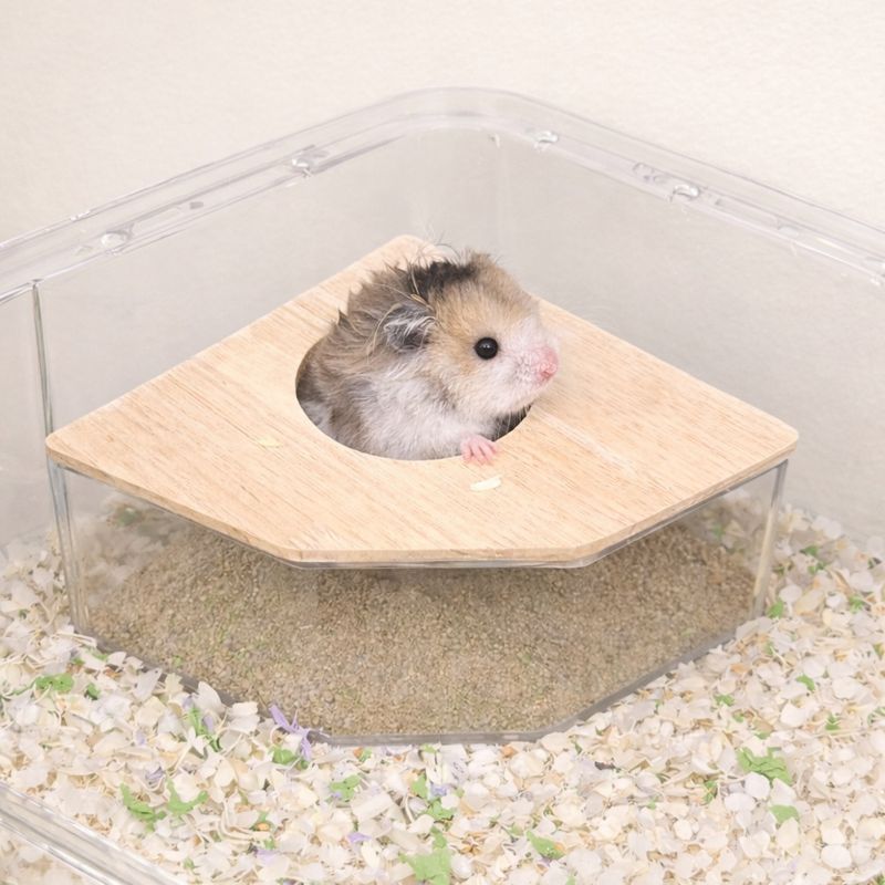 Triangular Clear Acrylic Sand Bath for Hamsters & Small Pets